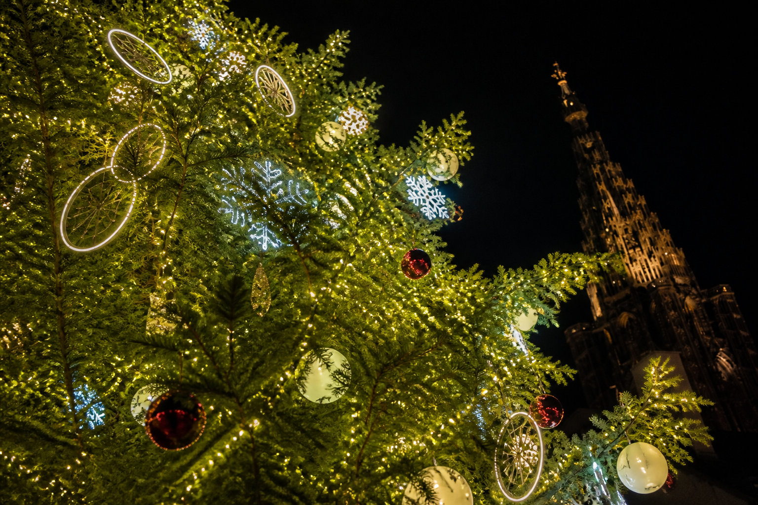 Vivre la magie nocturne et les activités culturelles