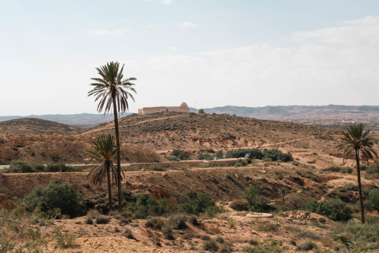 Oujda : trésors cachés entre histoire et modernité