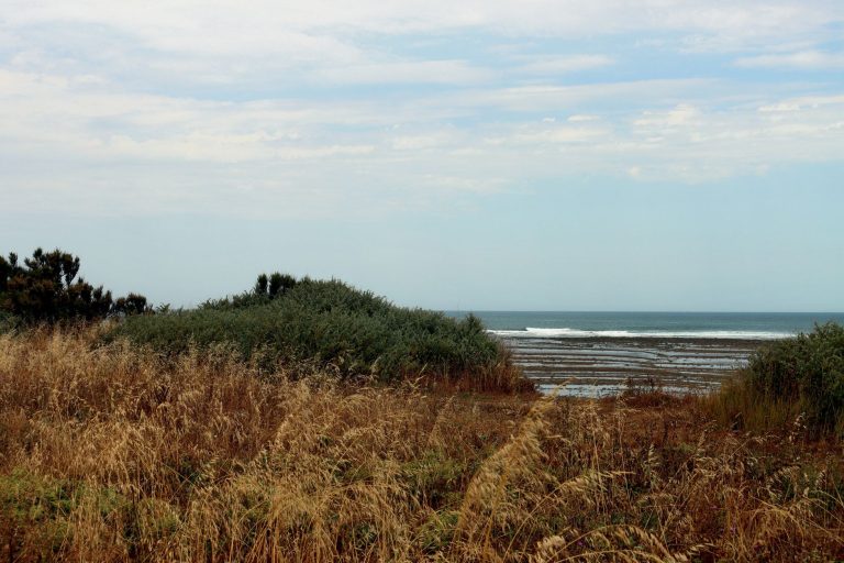 Comporta : l&rsquo;art de vivre entre rizières et océan