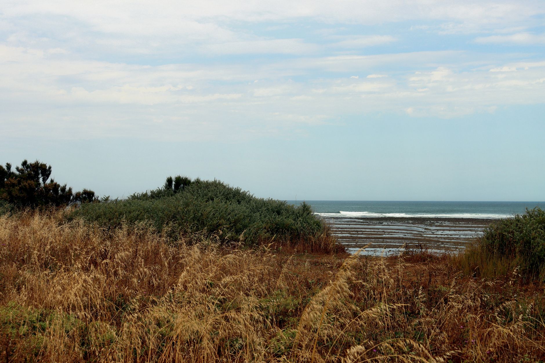 Comporta : l&rsquo;art de vivre entre rizières et océan