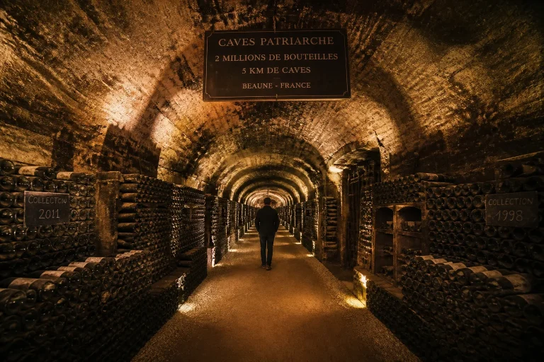 Domaine viticole Beaune : au cœur des Grands Crus