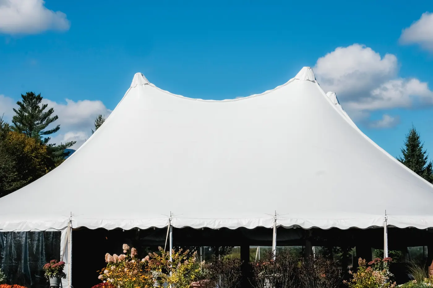 Chapiteau à mâts en toile blanche sous un ciel bleu, avec ses mâts et sa bordure festonnée