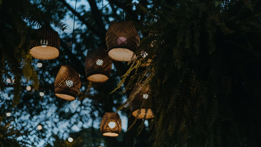 Lanternes et guirlandes suspendues dans des arbres la nuit